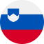 Slovenia flag